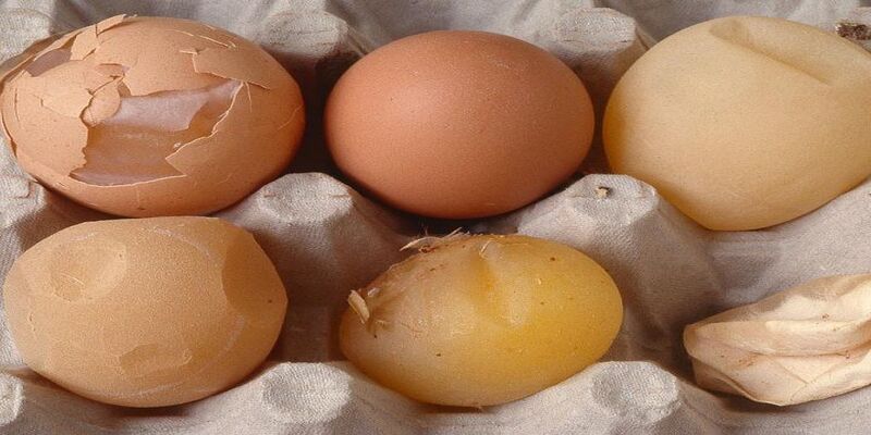 Trứng gà vỡ trong chiêm bao biểu trưng cho thay đổi đột ngột